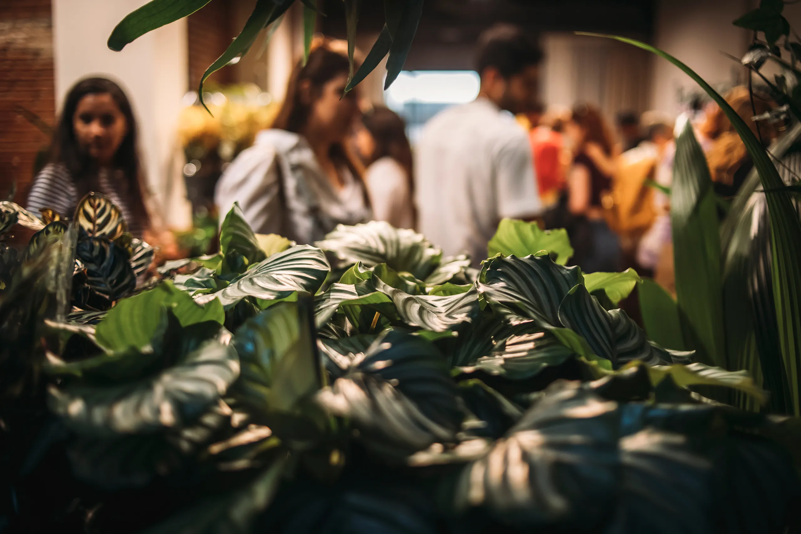 fotografia-evento-barcelona-ingracia-popup-selvamonstera-06