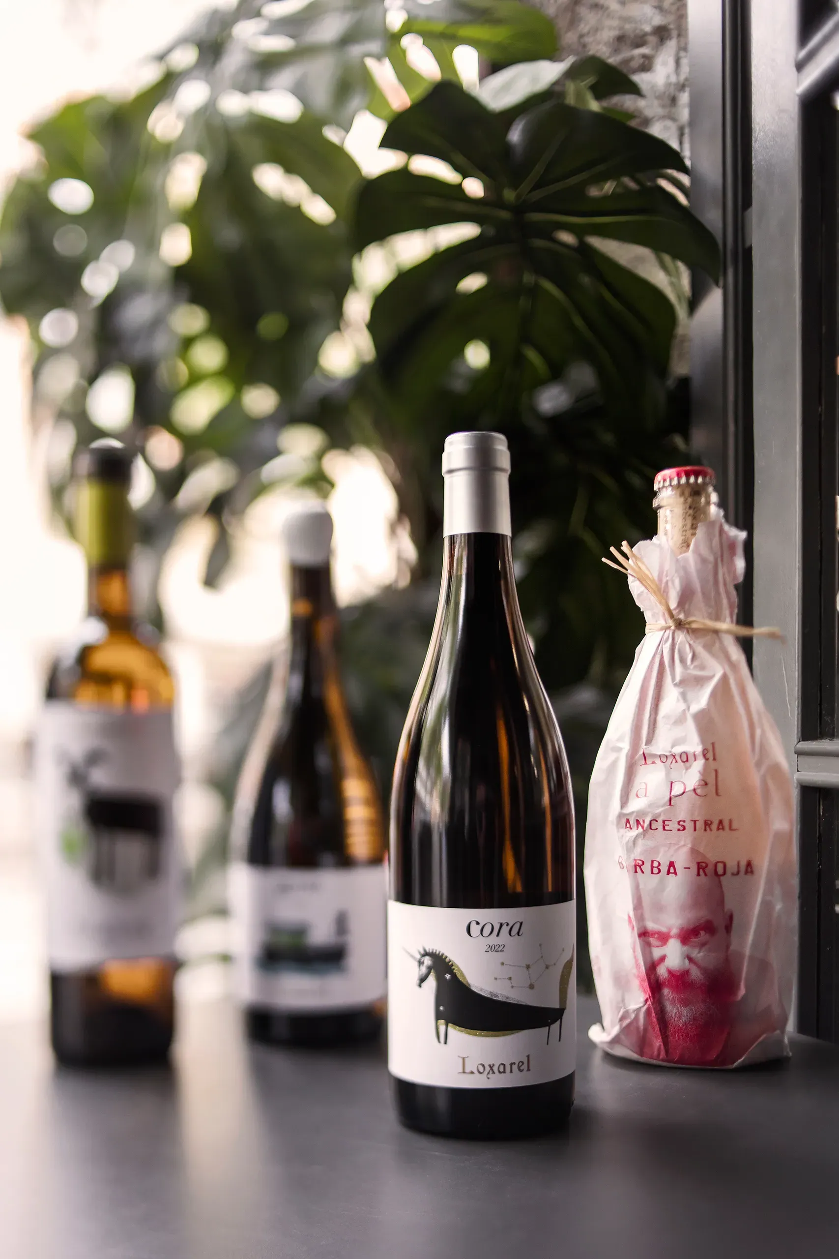 fotografia-corporativa_redes-barcelona-hosteleria-vermut-03