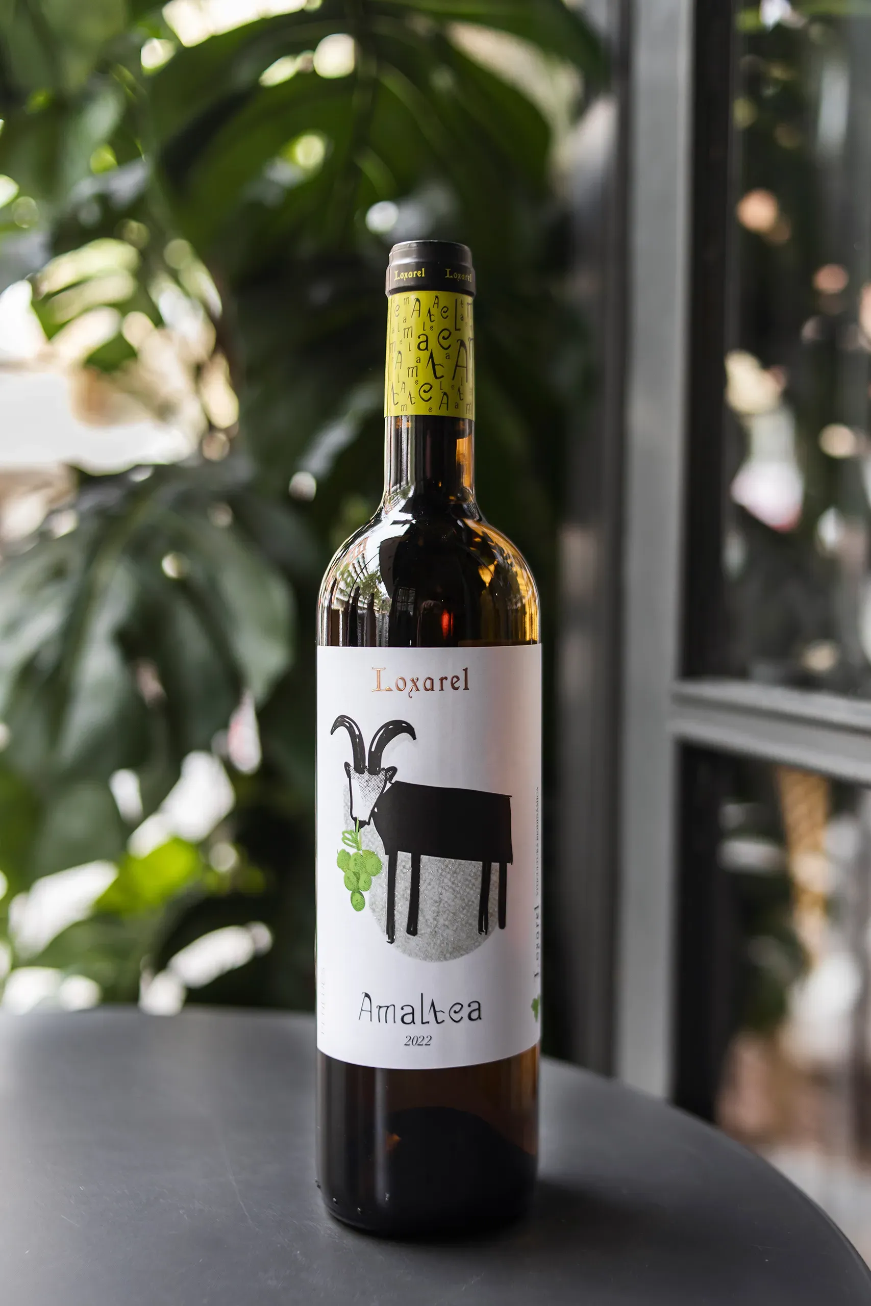 fotografia-corporativa_redes-barcelona-hosteleria-vermut-06