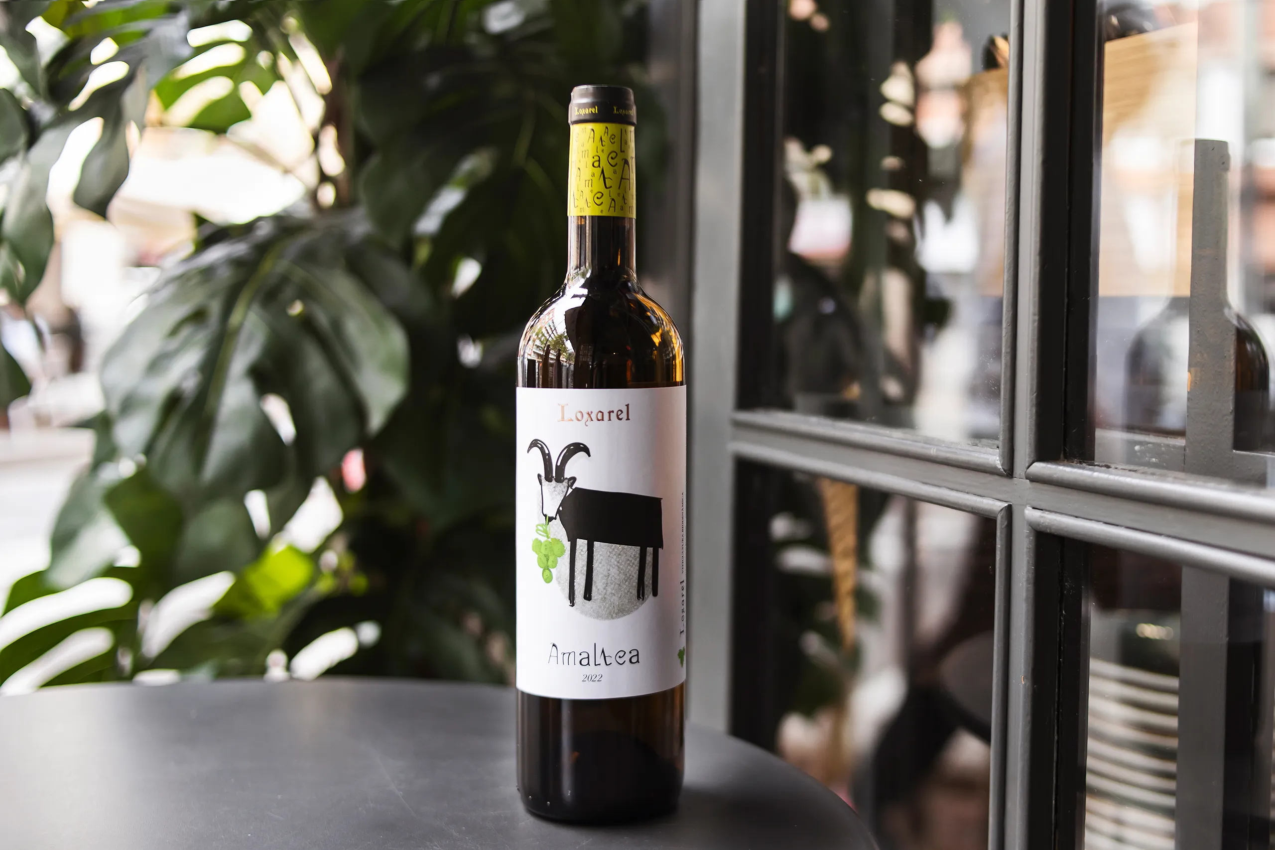 fotografia-corporativa_redes-barcelona-hosteleria-vermut-09