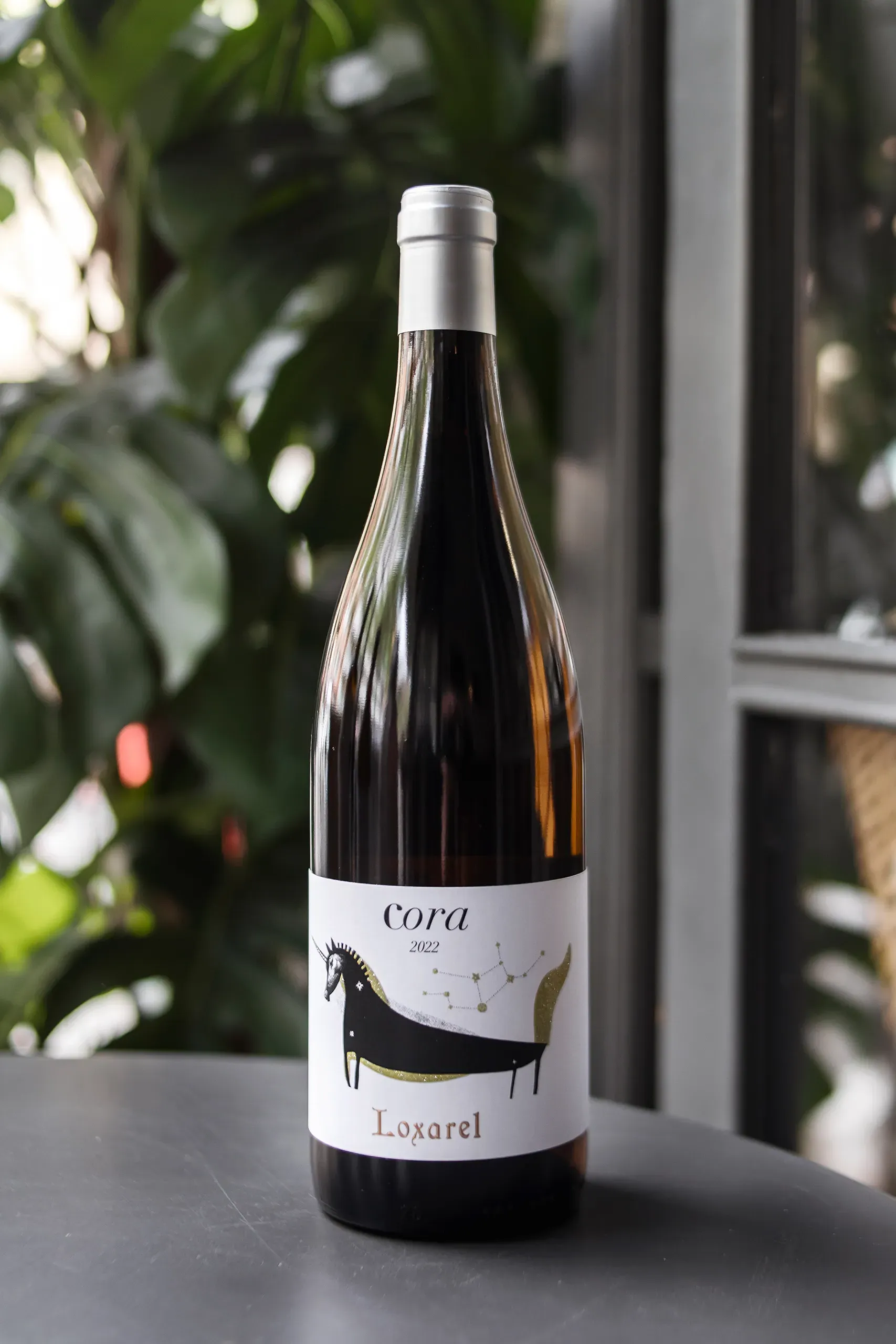 fotografia-corporativa_redes-barcelona-hosteleria-vermut-11