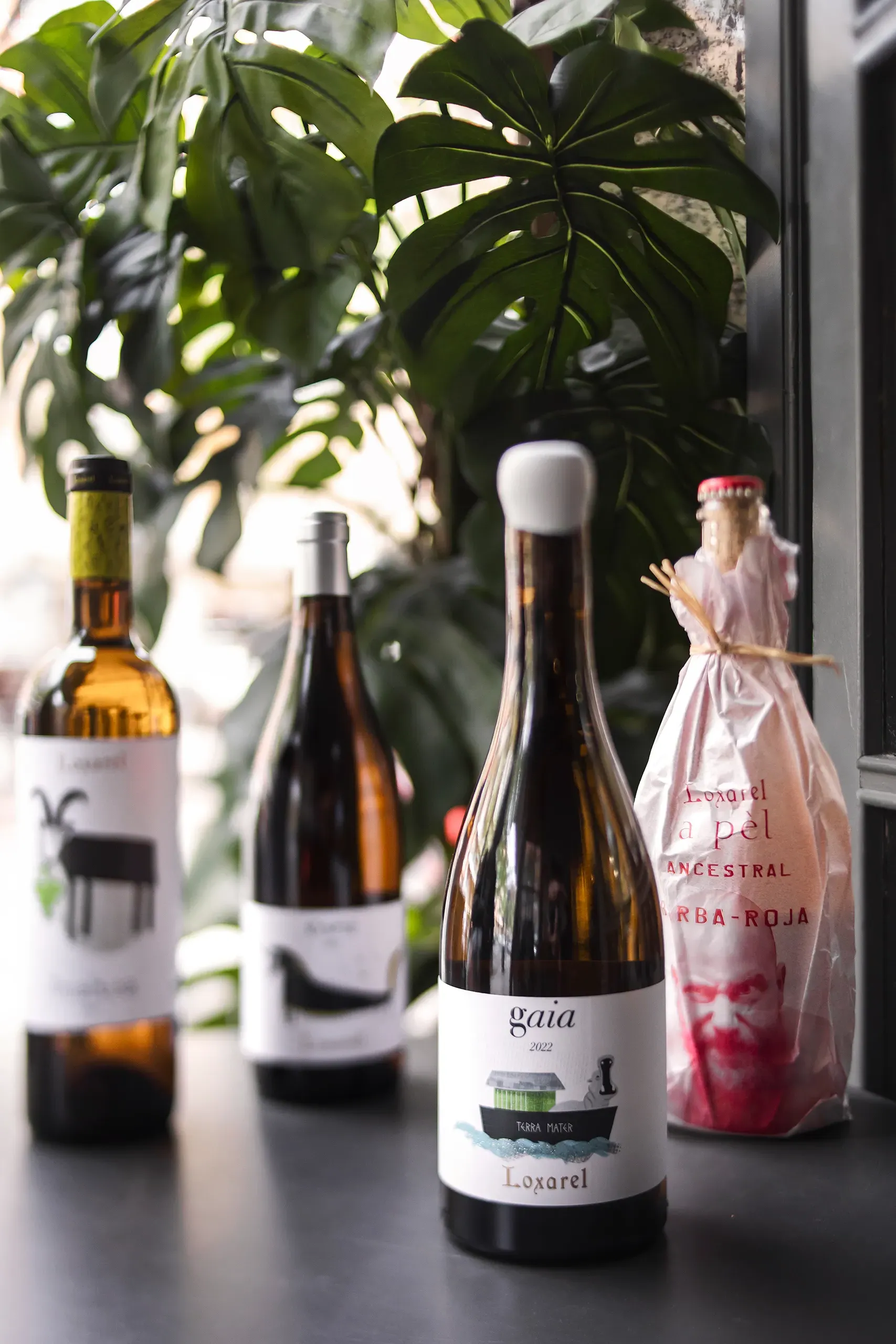 fotografia-corporativa_redes-barcelona-hosteleria-vermut-13